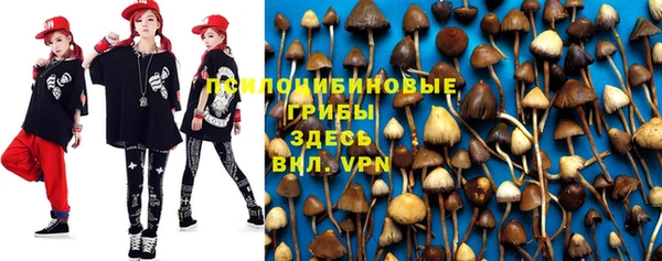 MDMA Premium VHQ Ладушкин