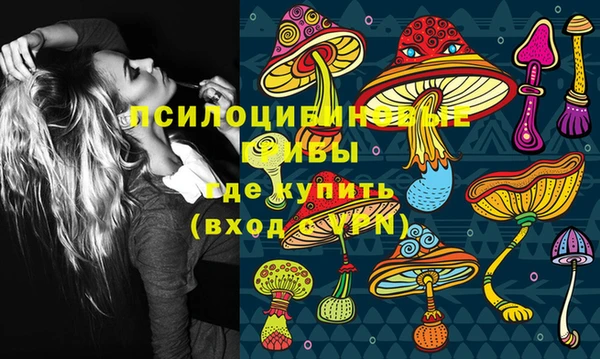 MDMA Premium VHQ Ладушкин