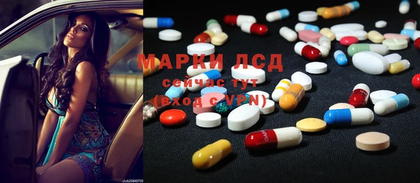 индика Инта