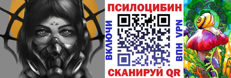 купить закладку  Узловая  Псилоцибиновые грибы Psilocybe 